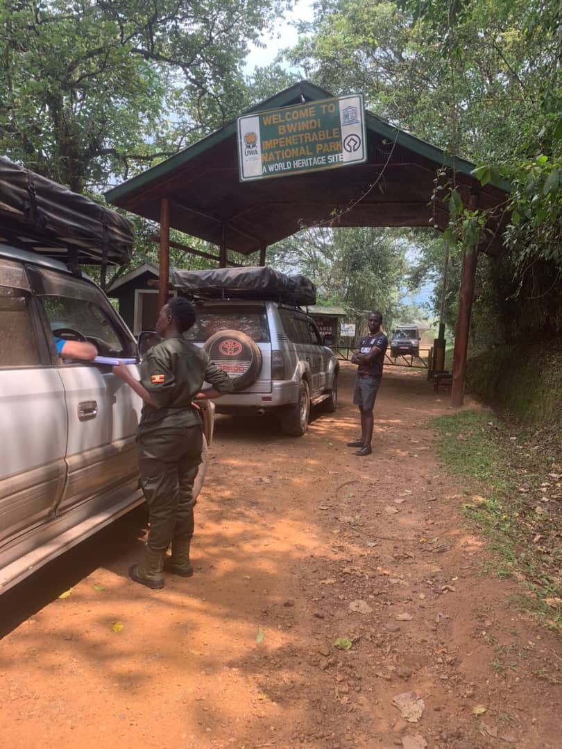 rent a car and self drive to Bwindi