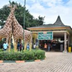 The 5 best Places To Visit In Entebbe With Rental car